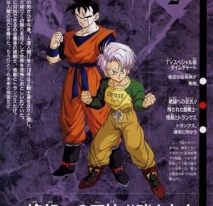 Dragon Ball Z Especial de Televisión 02 – Los dos Guerreros del Futuro: Gohan y Trunks (Zetsubō e no Hankō!! Nokosareta Chōsenshi · Gohan to Torankusu) [01/01] [1080p] [Mkv] [8 Btis]