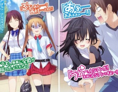 Netoge No Yome Wa Onnanoko Ja Nai To Omotta? (And You Thought There is Never a Girl Online?) (ネトゲの嫁は女の子じゃないと思った？) (2016) [12/12] [BDrip] [1080p] [Mkv] [x264] [FLAC] [Hi444p]